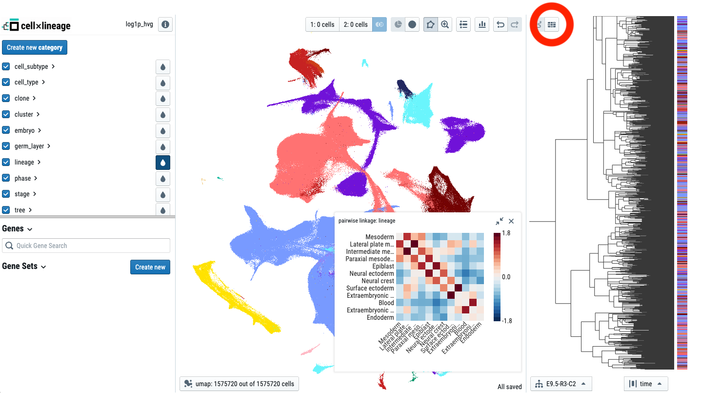 Coloring cells to compute pairwise ancestral linkage between categories